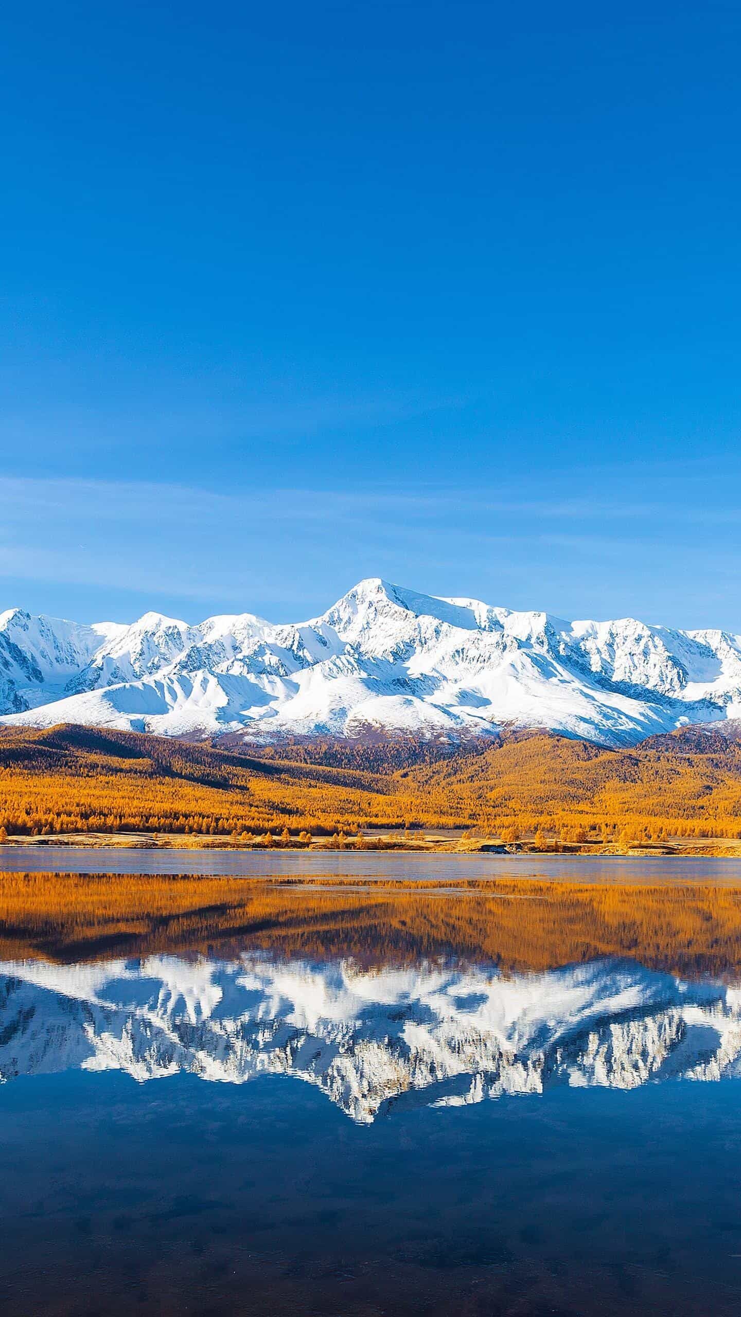 揭秘TFTP服务器:轻量级文件传输系统的核心优势与应用场景